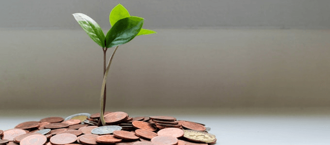 Plant sprouting from a pile of coins